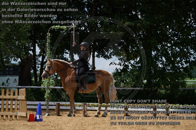 s_K3F04489.JPG